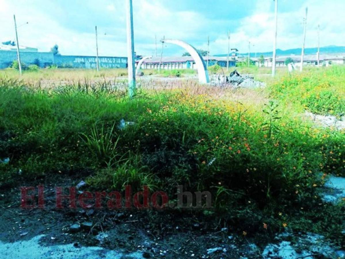 Honduras: 112 millones de lempiras de la Tasa de Seguridad no han llegado a centros de menores