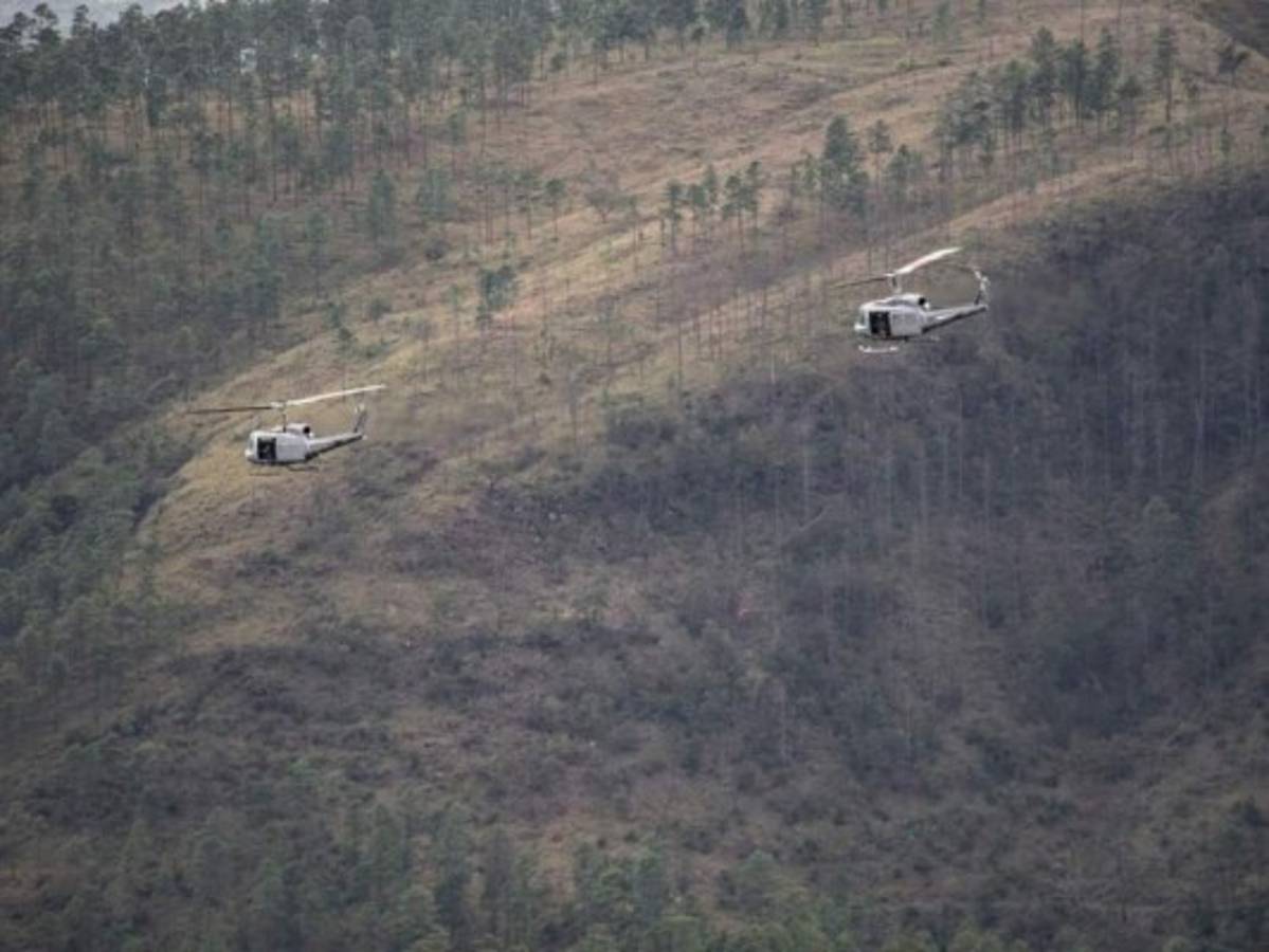 Desmantelan narcolaboratorio y destruyen plantación de supuesta coca en Colón