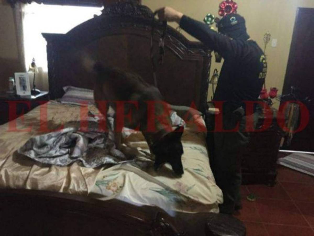 Capturan al alcalde de San Fernando, en Ocotepeque