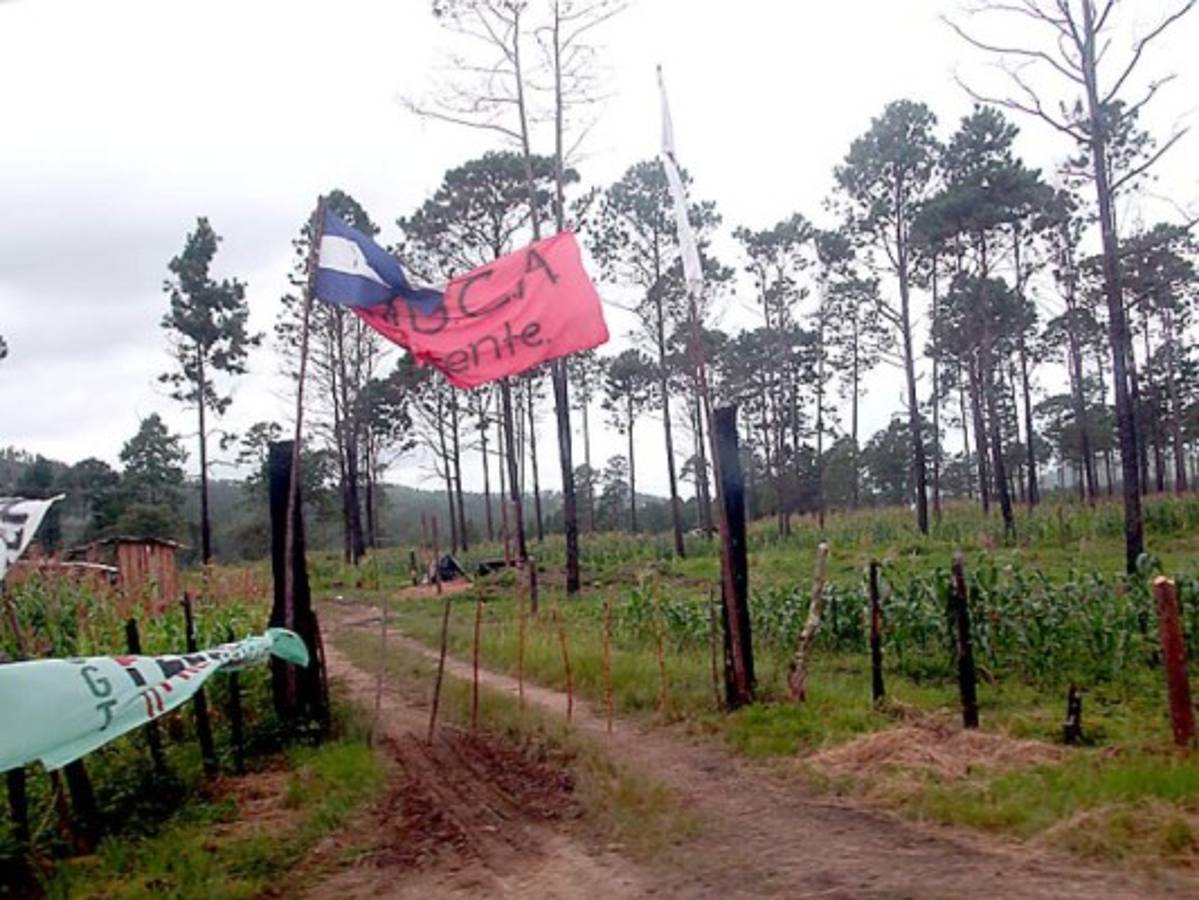 Movimiento Unificado Campesino del Aguán (MUCA) y MARCA dejan de pagar deudas al Estado