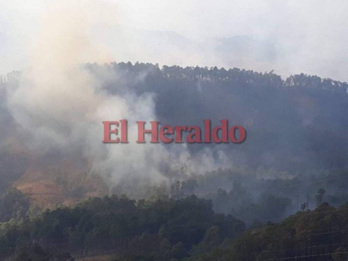 No cesa incendio en El Hatillo; llamas ya consumieron unas 180 hectáreas