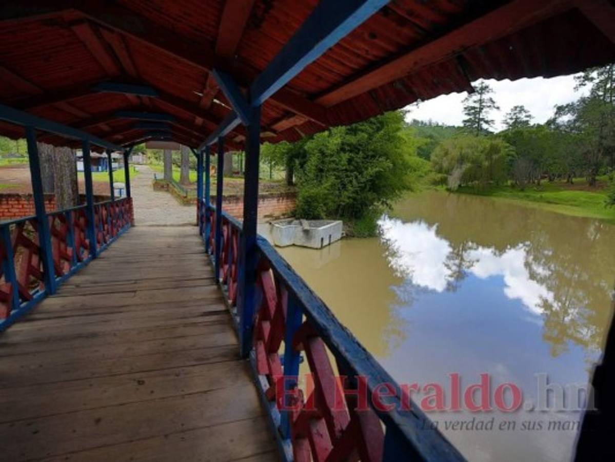 Hoteles y restaurantes, el sector más afectado al contraerse 30.4%