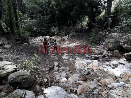 Pineda, una belleza oculta en el municipio de Marales