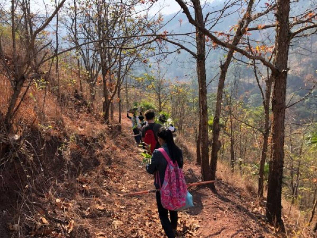 Héroes ambientales impulsan una reserva forestal en la aldea Suyapa