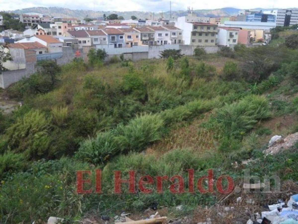 El Jardín Botánico todavía sigue sin ejecutarse. Foto: Marvin Salgado/El Heraldo