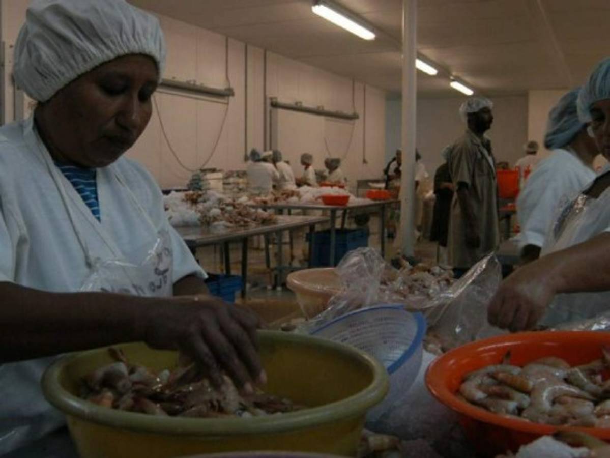 México cierra su mercado al camarón de Honduras