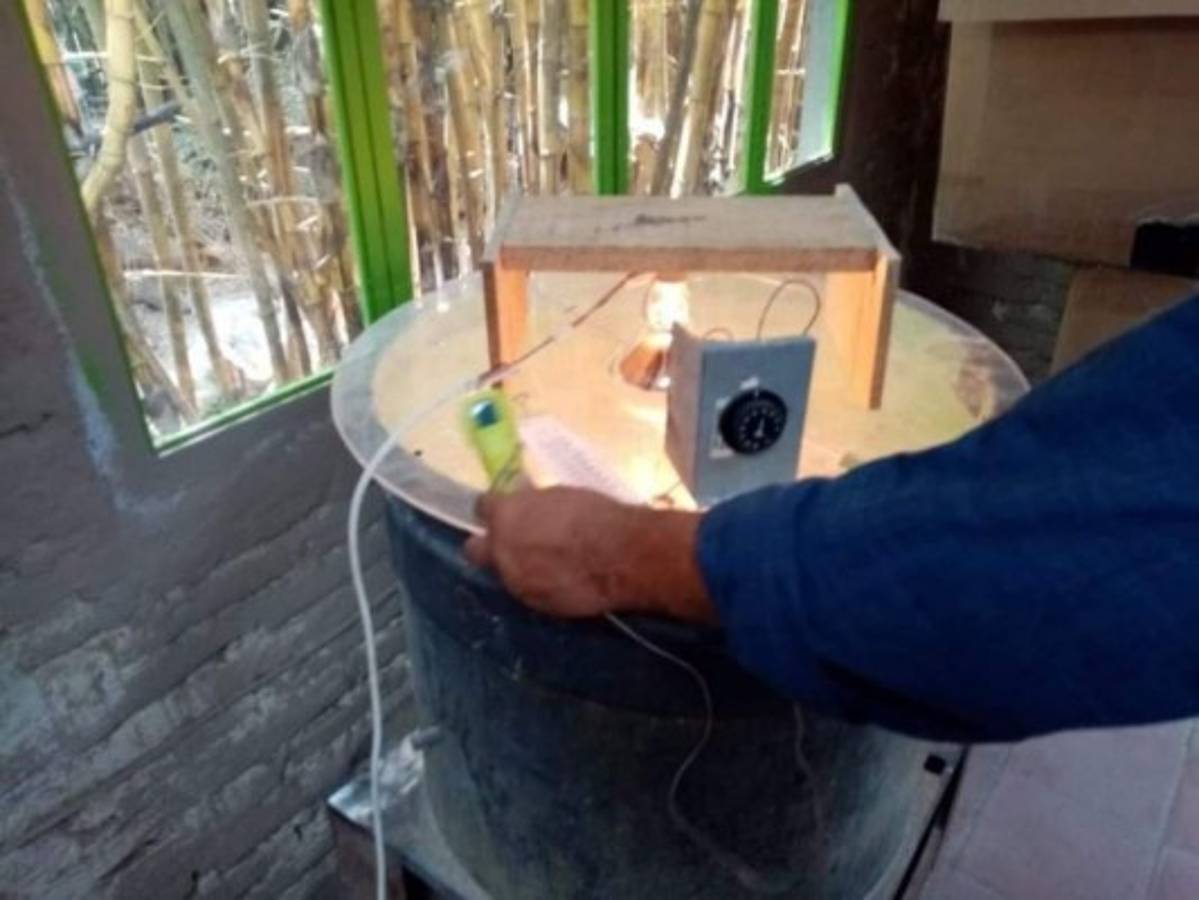 Familia hondureña impulsa novedoso proyecto avícola&nbsp;&nbsp;