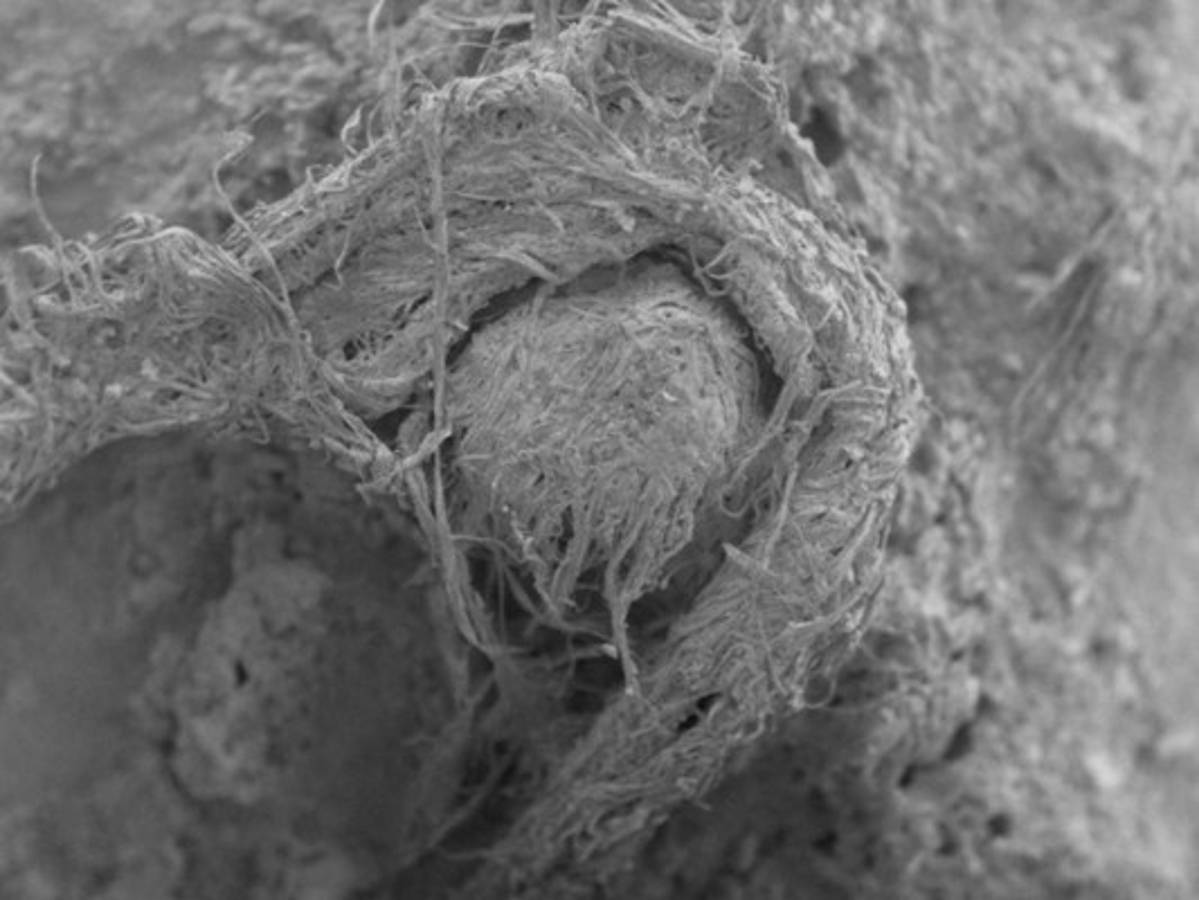 Descubren en Francia las cuerdas más viejas del mundo