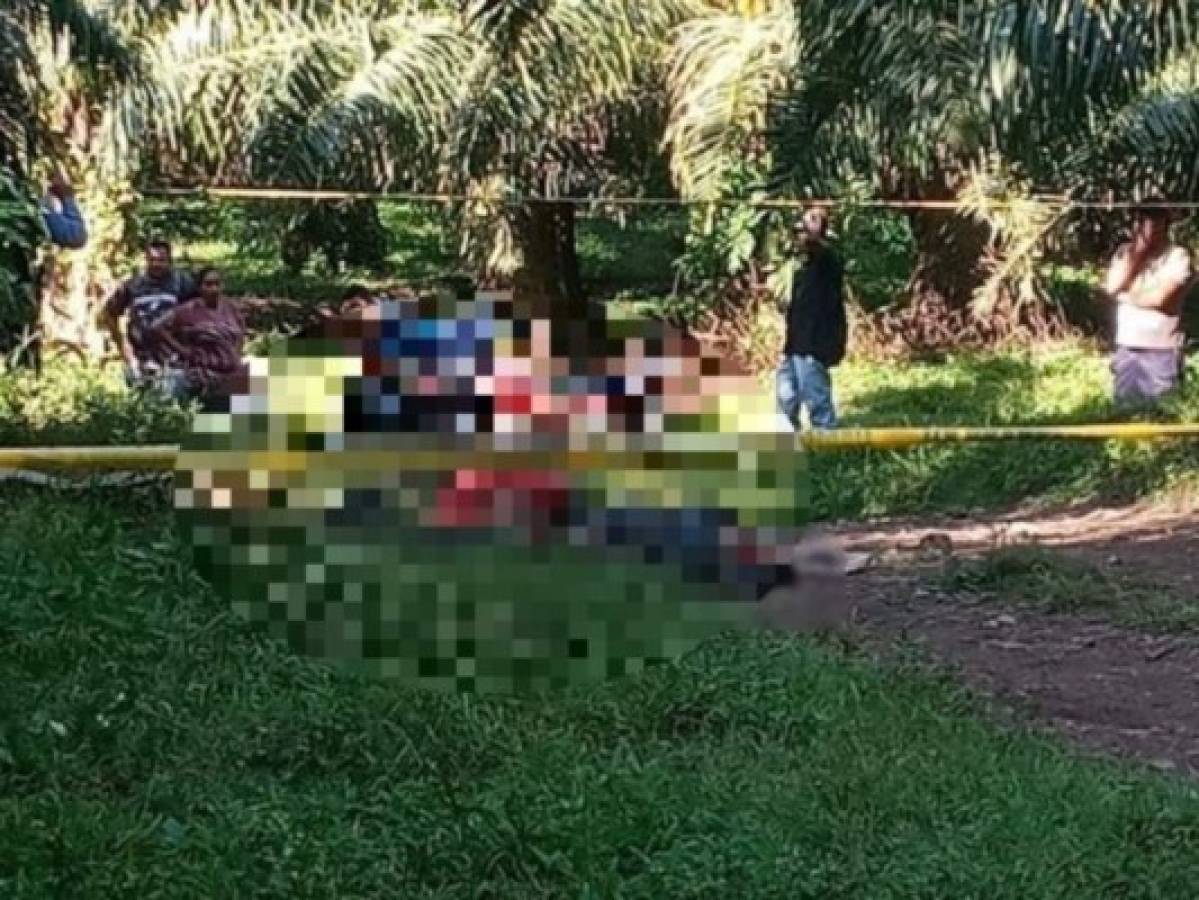 Tres personas muertas deja nueva masacre en Tocoa, Colón