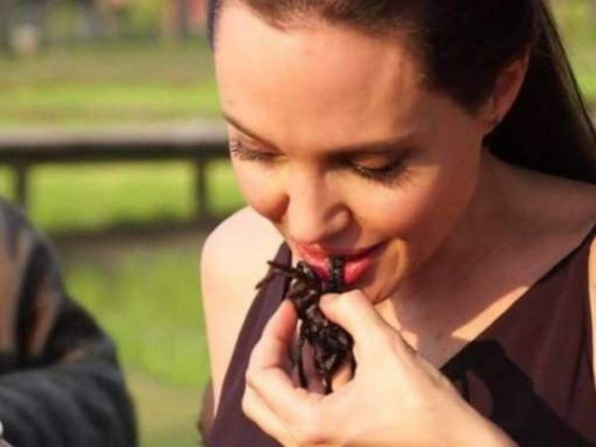 ¡Extraña dieta! Angelina Jolie come grillos, gusanos y tarántulas
