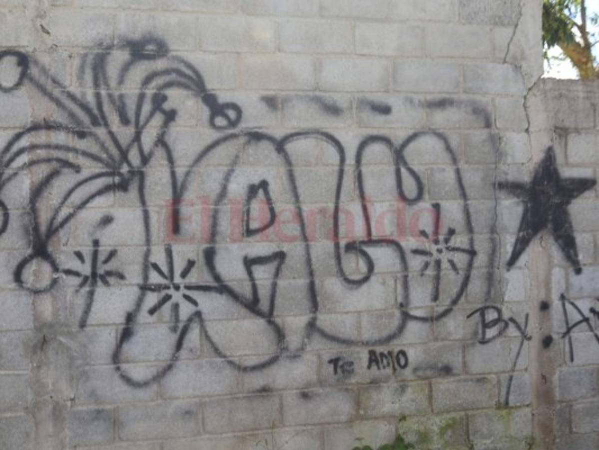 Orden y seguridad piden pobladores de Limones en La Tigra