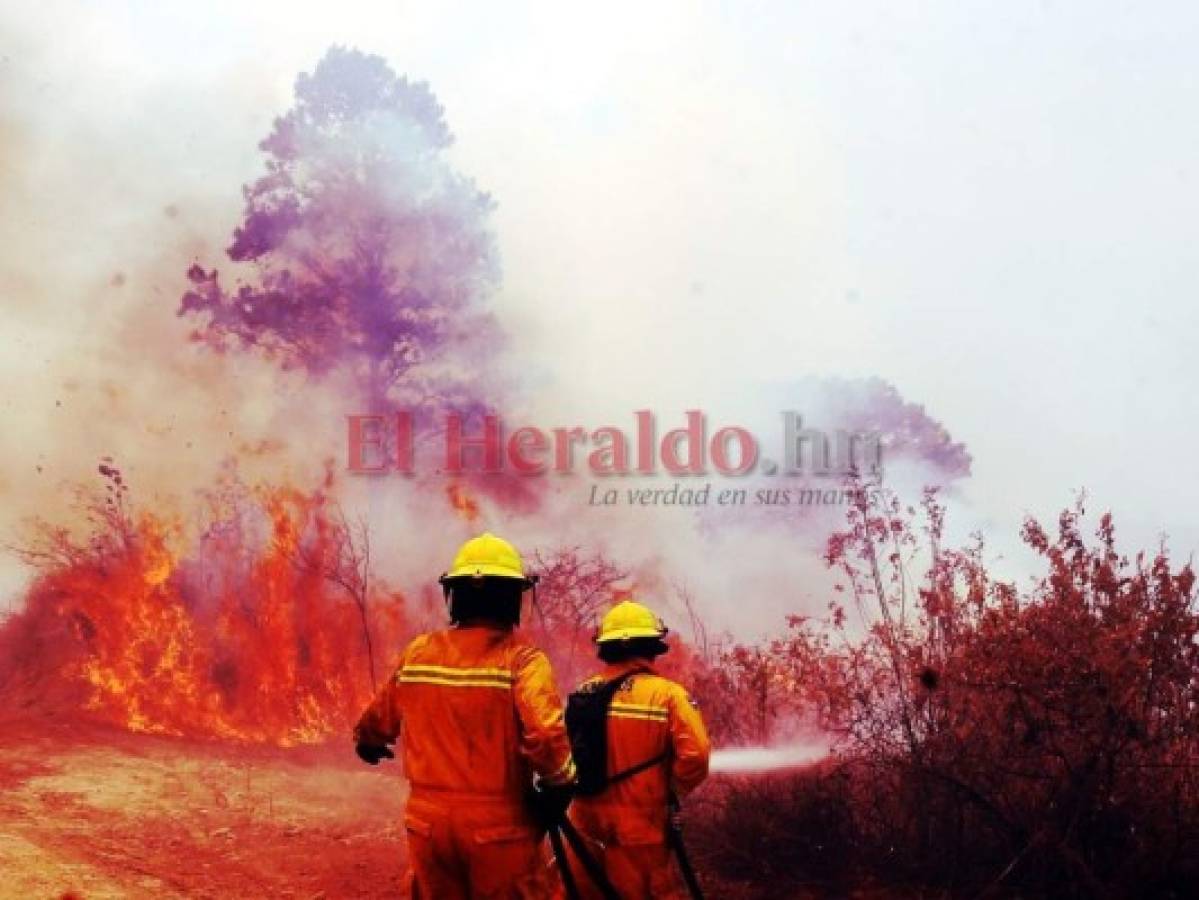 Covid-19 e incendios forestales, las dos emergencias que vive Honduras