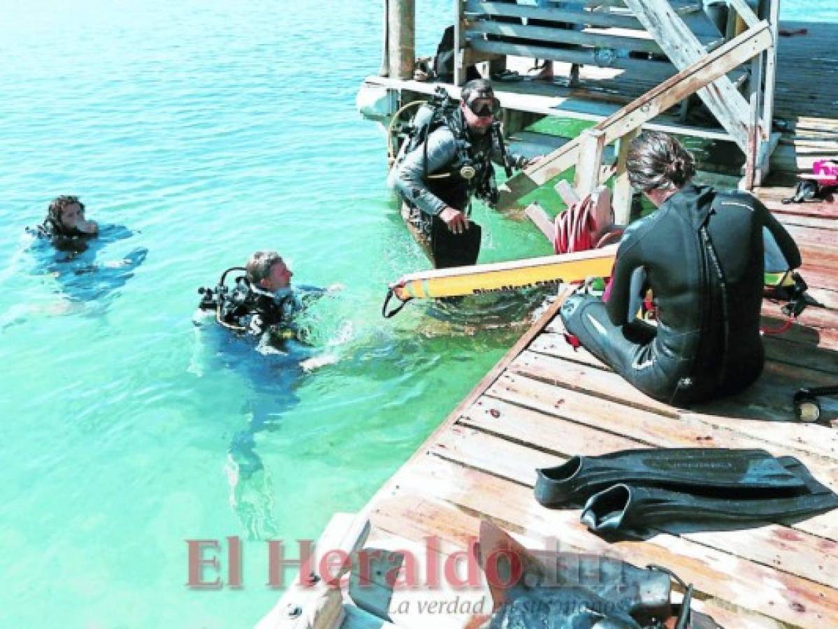 Este es el único lugar que está certificado para enseñar esta actividad marina en Honduras. Fotos: Marvin Salgado/Honduras Tips.