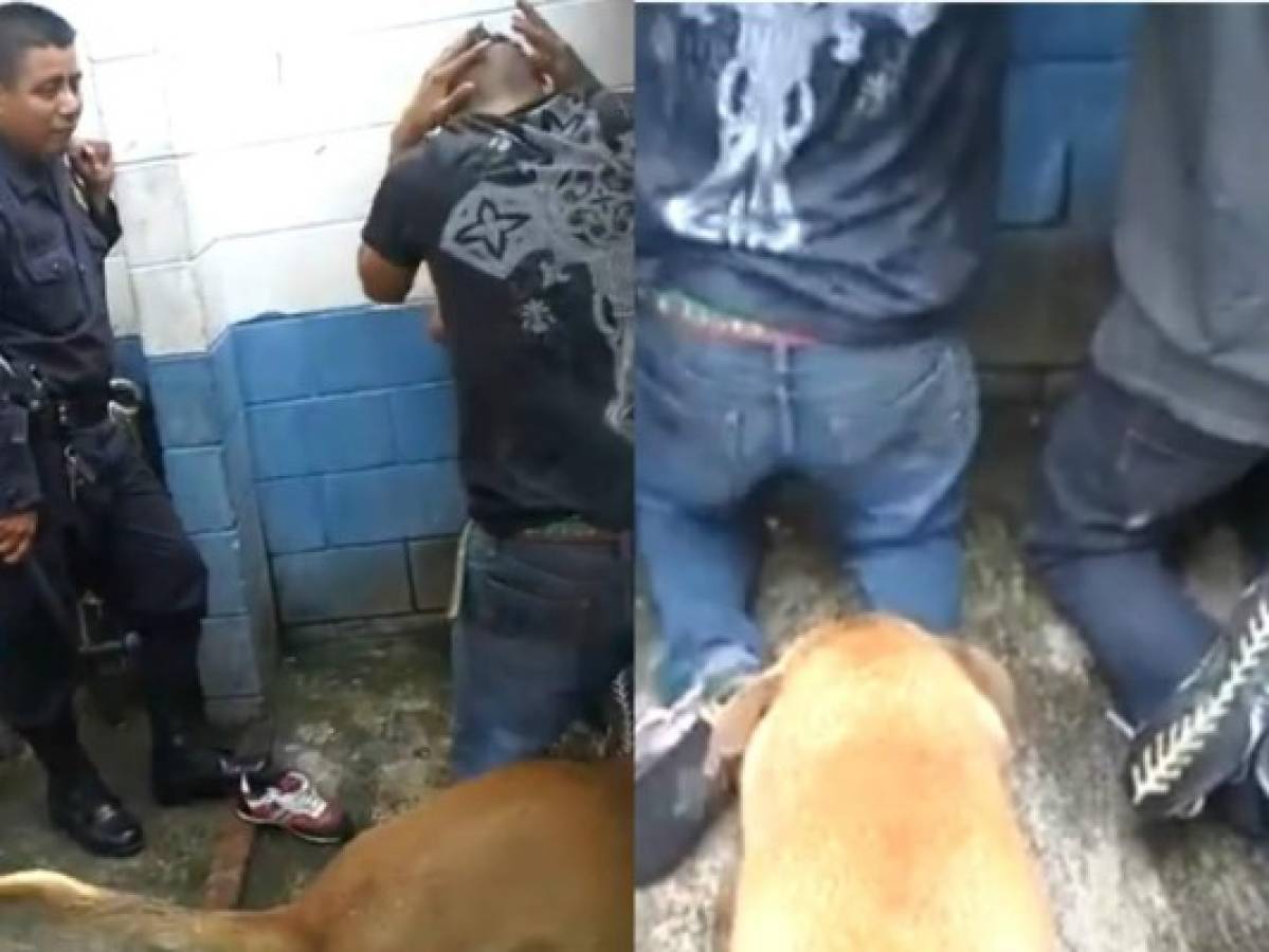 Video de policías maltratando a tres jóvenes causa indignación en El Salvador