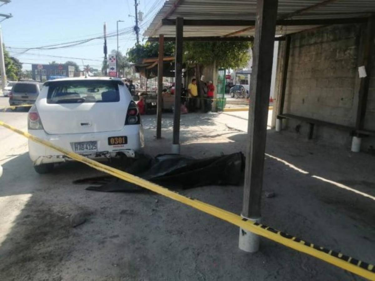 El crimen llena de luto del golpeado rubro del transporte en Honduras.