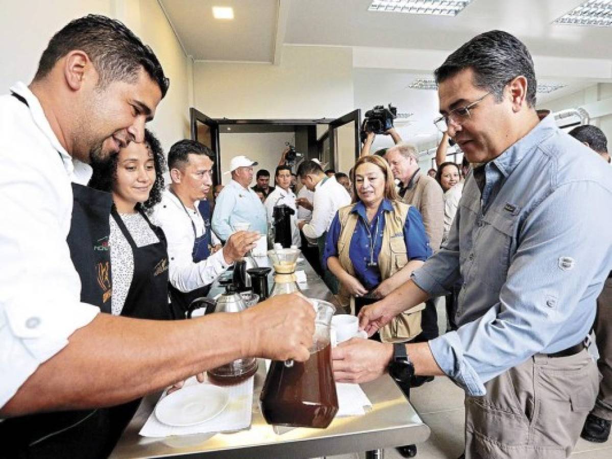 Benefician a unos 600 cafetaleros de Marcala, La Paz