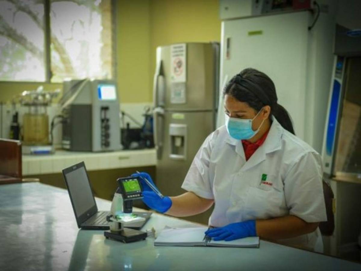 Los cursos son impartidos por especialistas con alta experiencia. Foto: Cortesía/El Heraldo