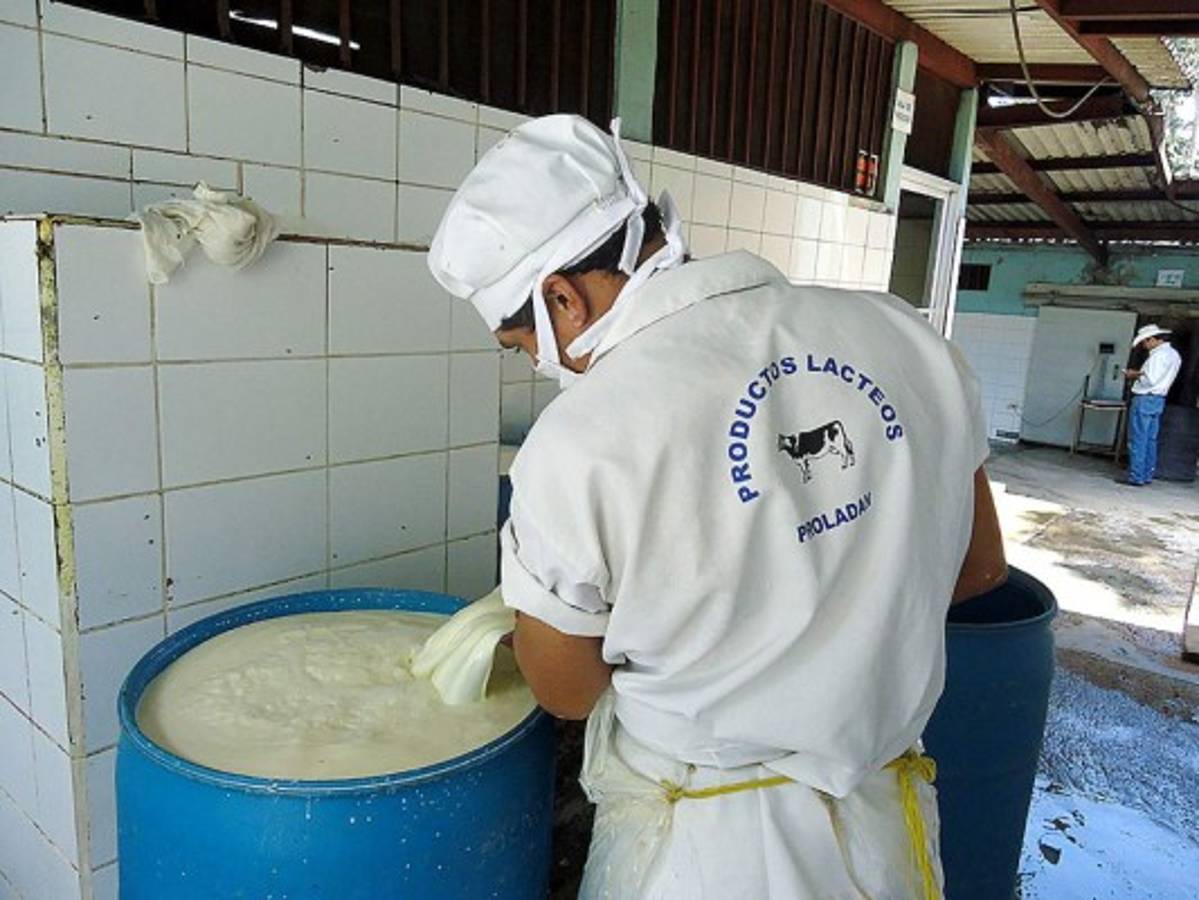 El arte hondureño de elaborar quesillo