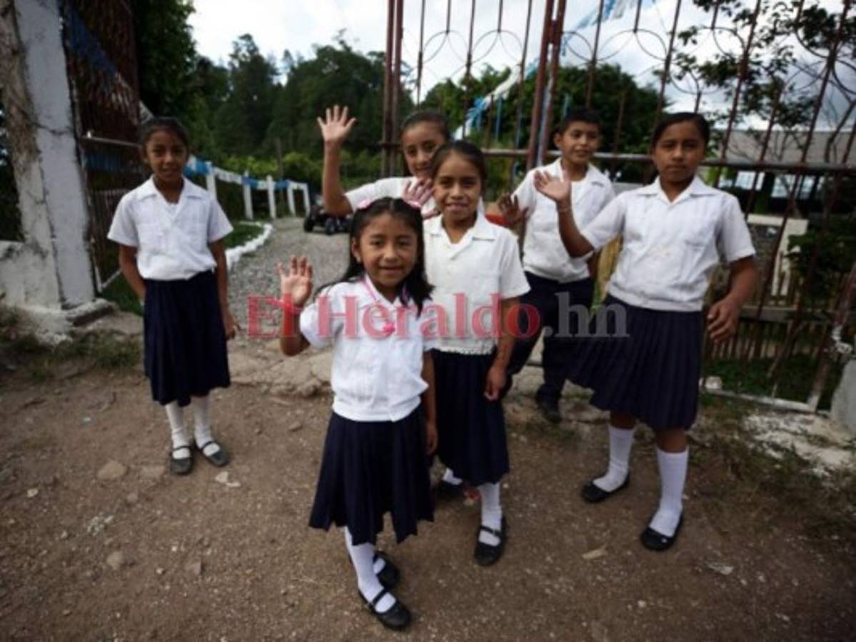 Un paseo al interior de las bibliotecas Blue Lupin
