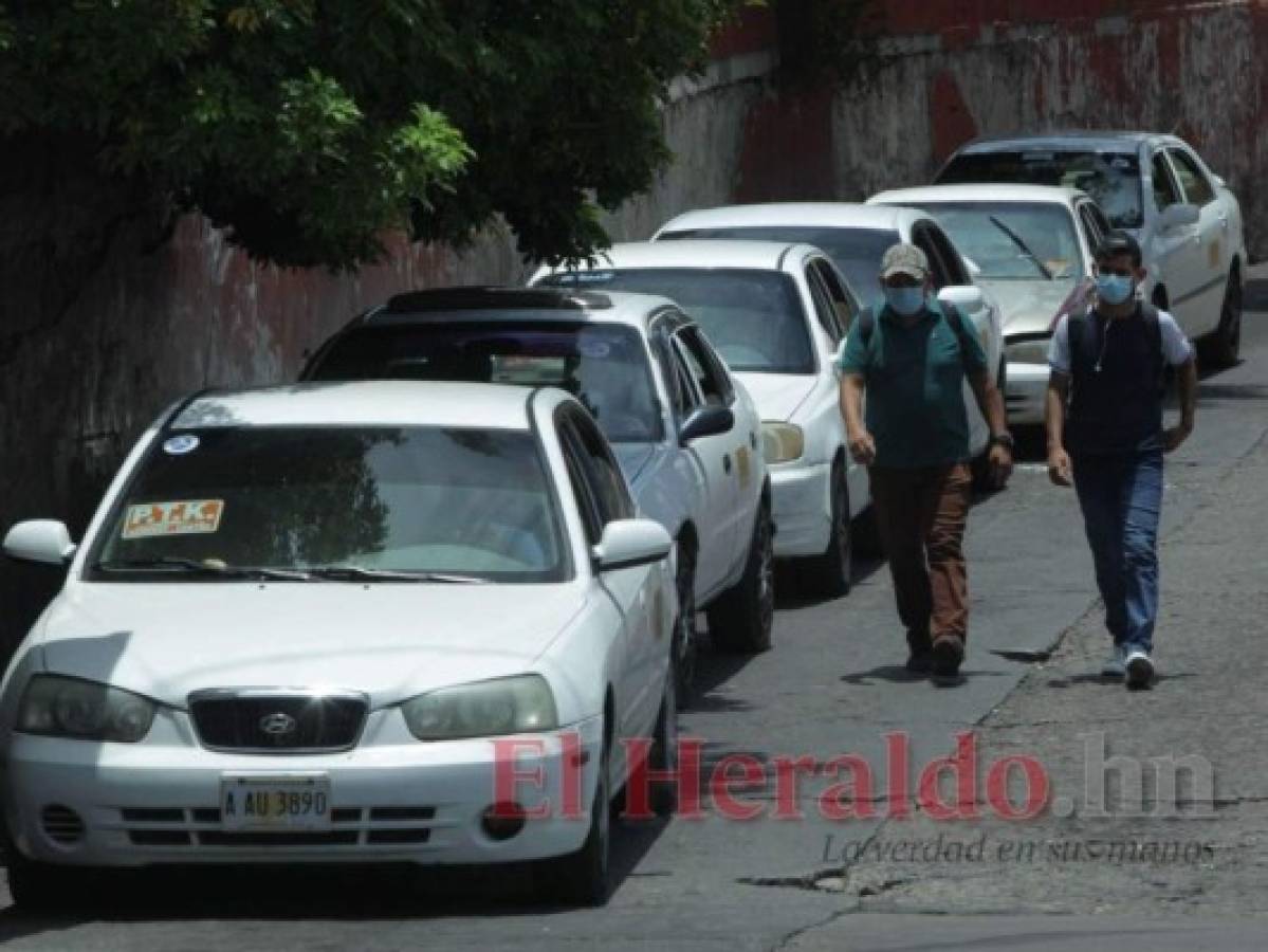 Usuarios de taxi colectivo denuncian cobro de 20 lempiras por pasaje en la capital