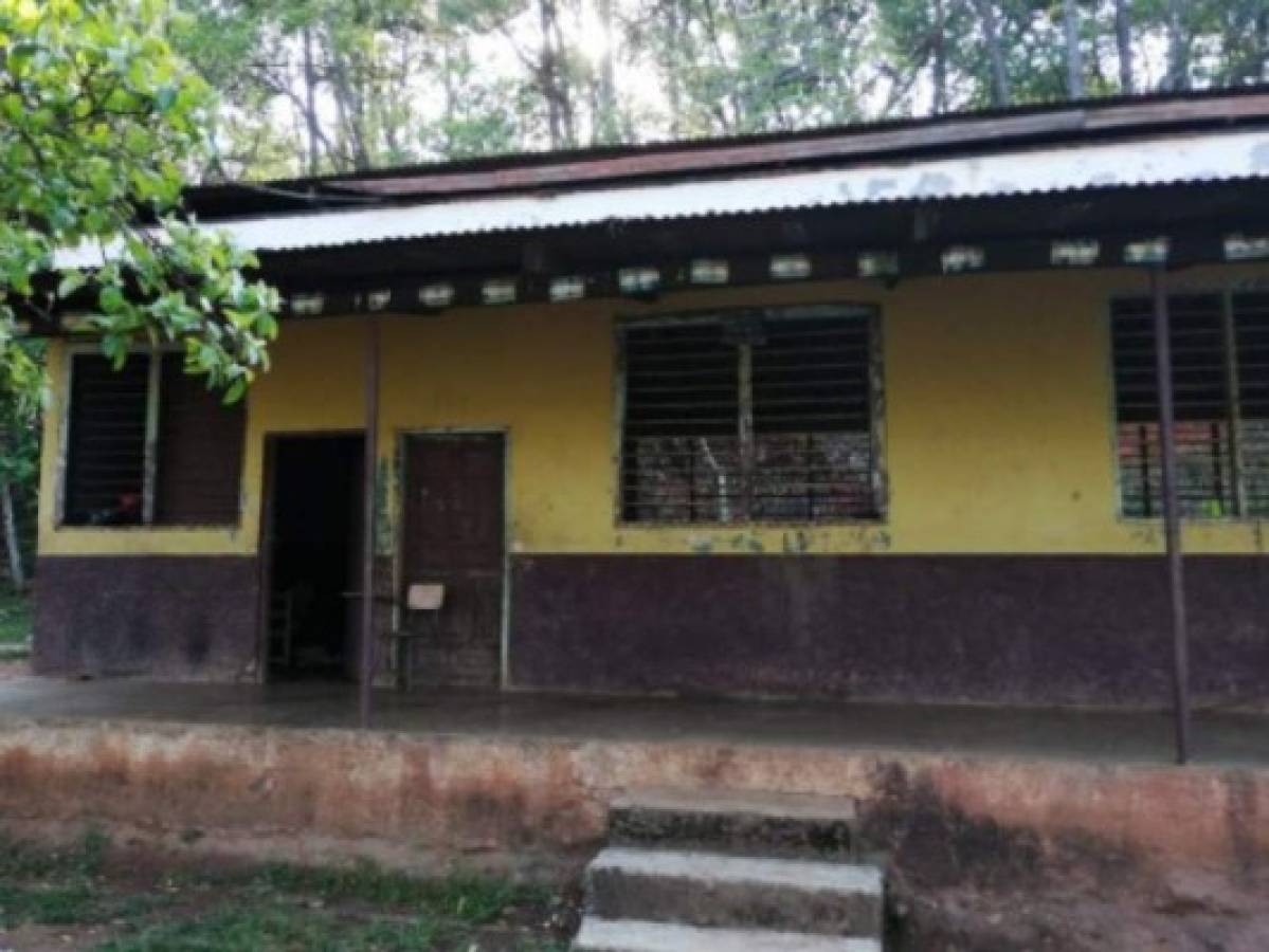 En la bodega de una escuela encuentran droga y municiones en San Pedro Sula