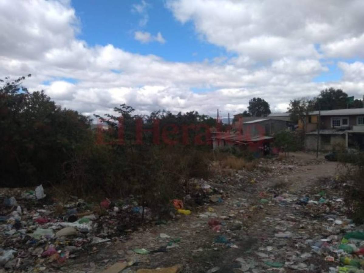 Sin contenedores los residentes de la colonia Reynel Fúnez de la capital de Honduras  