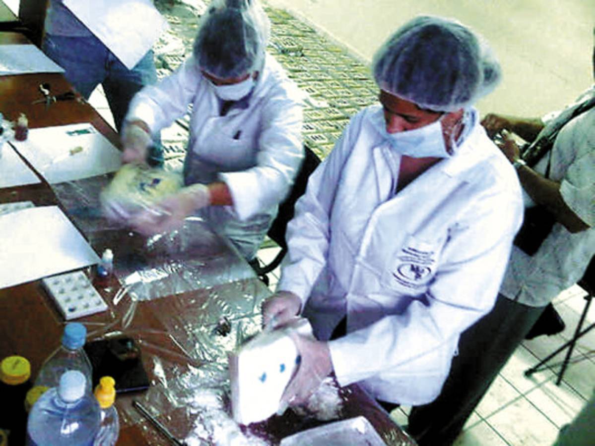 Incautan 440 kilos de coca en zona de La Mosquitia