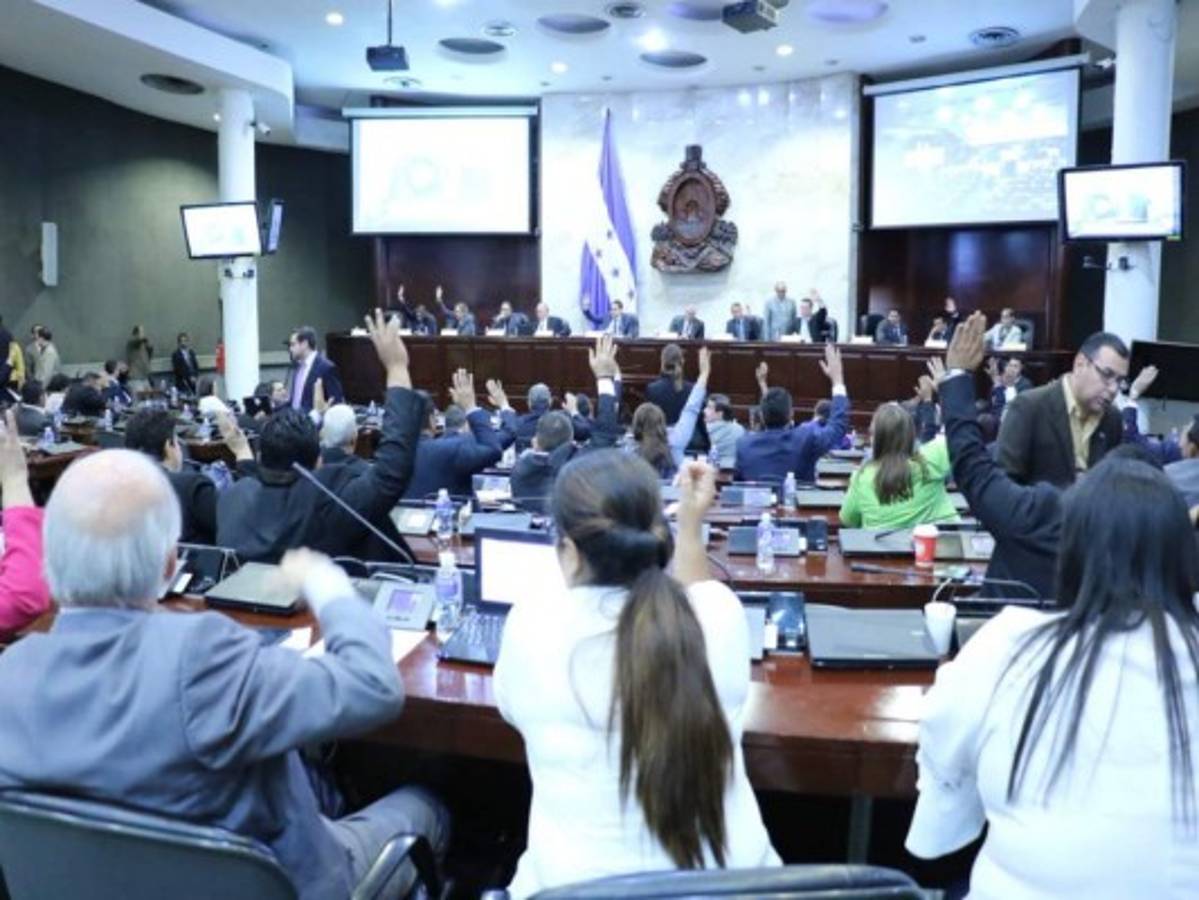 Congreso Nacional iniciará el martes las audiencia para nombrar a los comisionados del IAIP