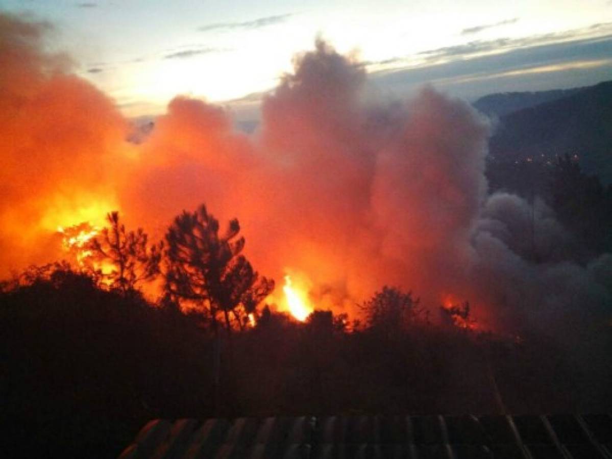 Imparables las quemas en zacateras en la capital