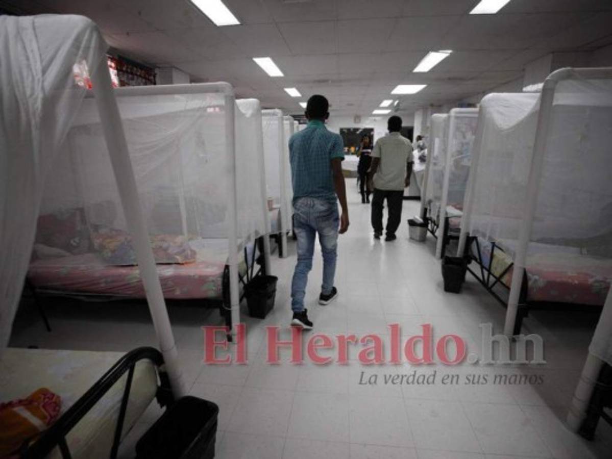 Confirman cinco muertes más por dengue grave en el país