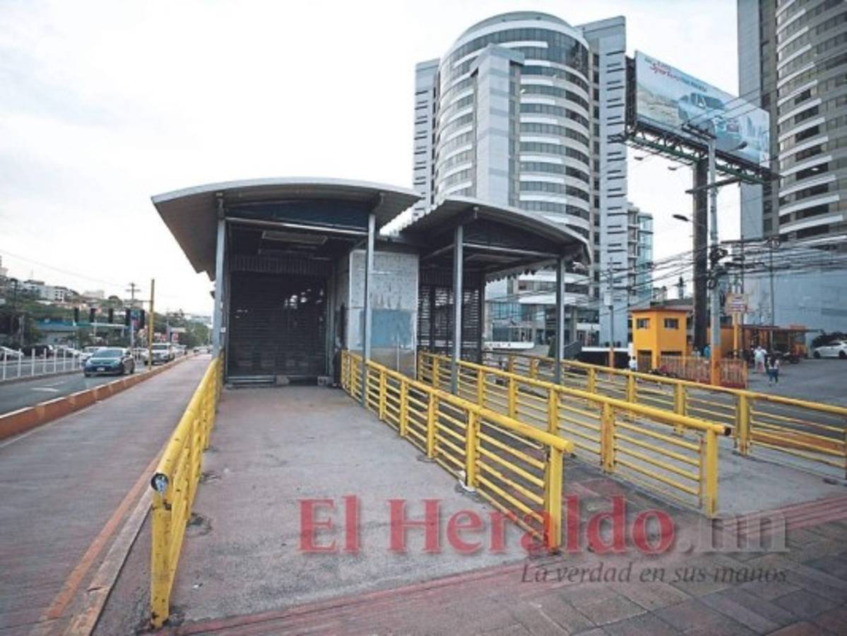 Harán pilotaje con bus eléctrico en rutas urbanas del Distrito Central