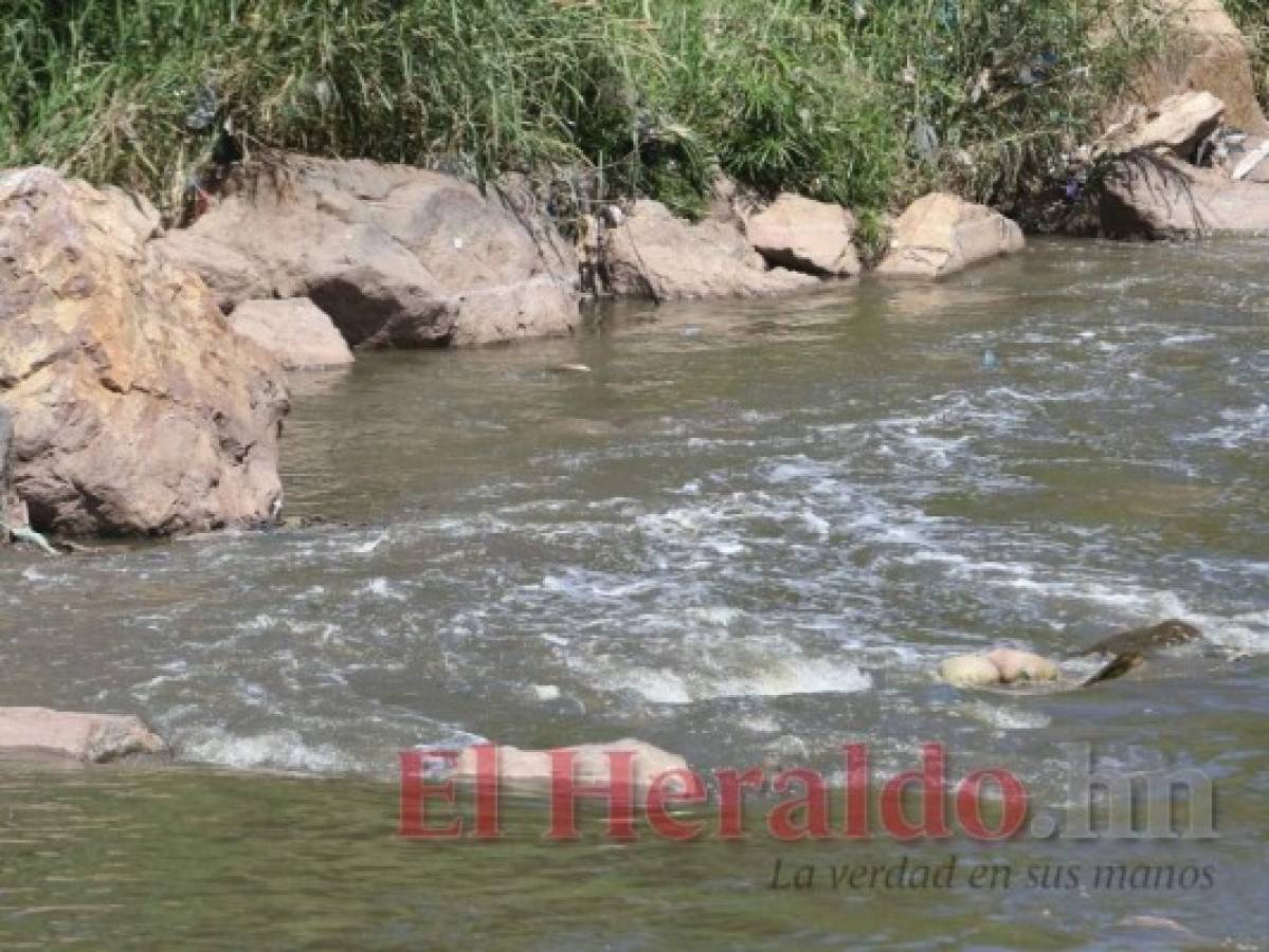 La Alcaldía Municipal intentará sanear el río Choluteca y sus afluentes