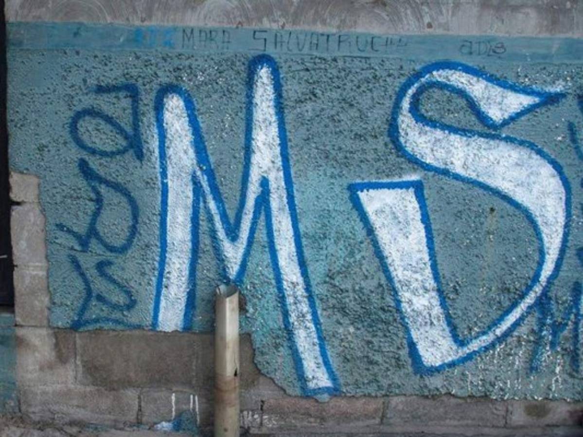 Donald Trump dice que acabará 'muy pronto' con la Mara Salvatrucha