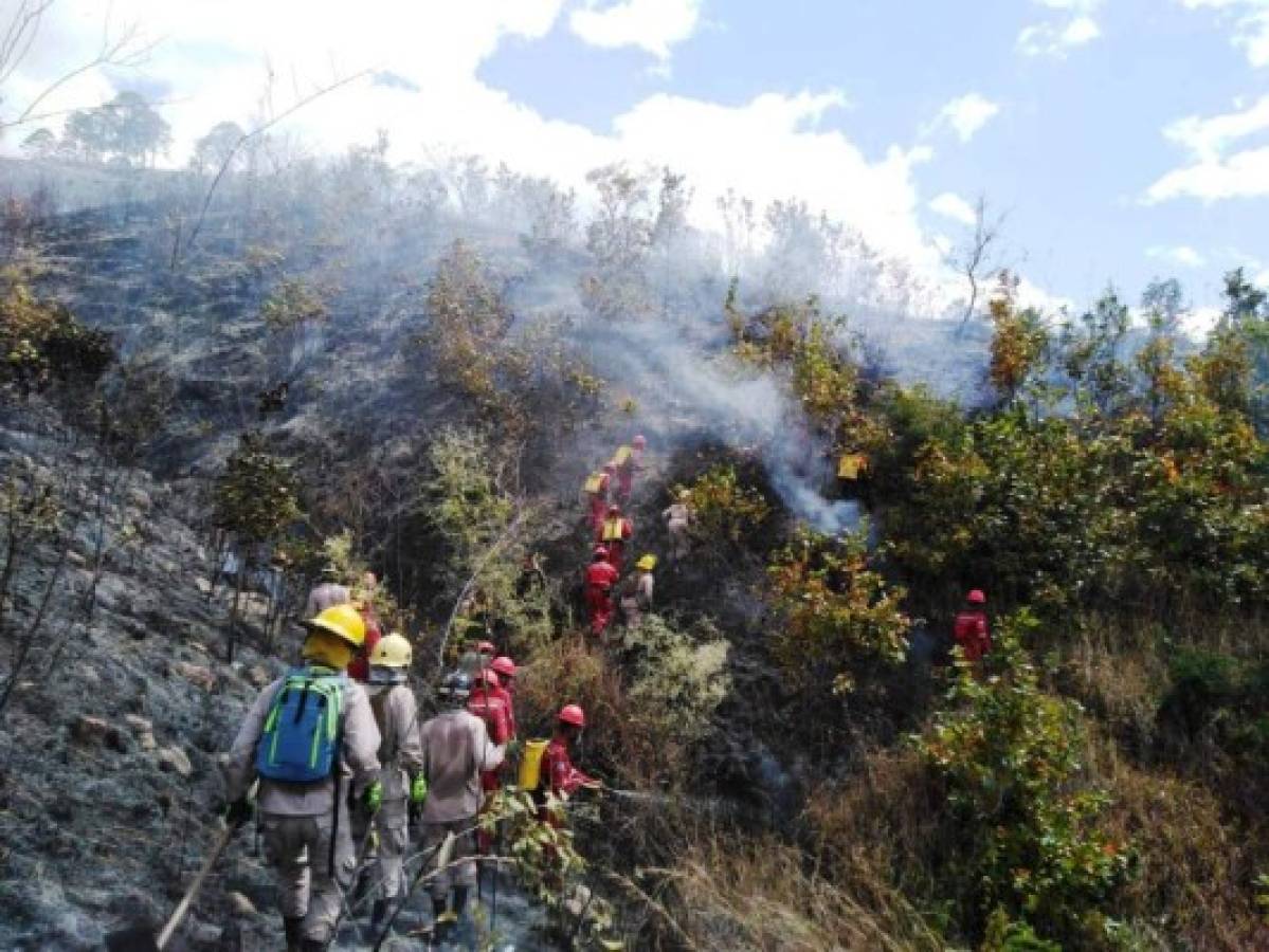 Más de 70 personas acudieron en rescate del bosque. Bomberos, FF AA y Copeco, entre otros, acudieron a la zona del siniestro.