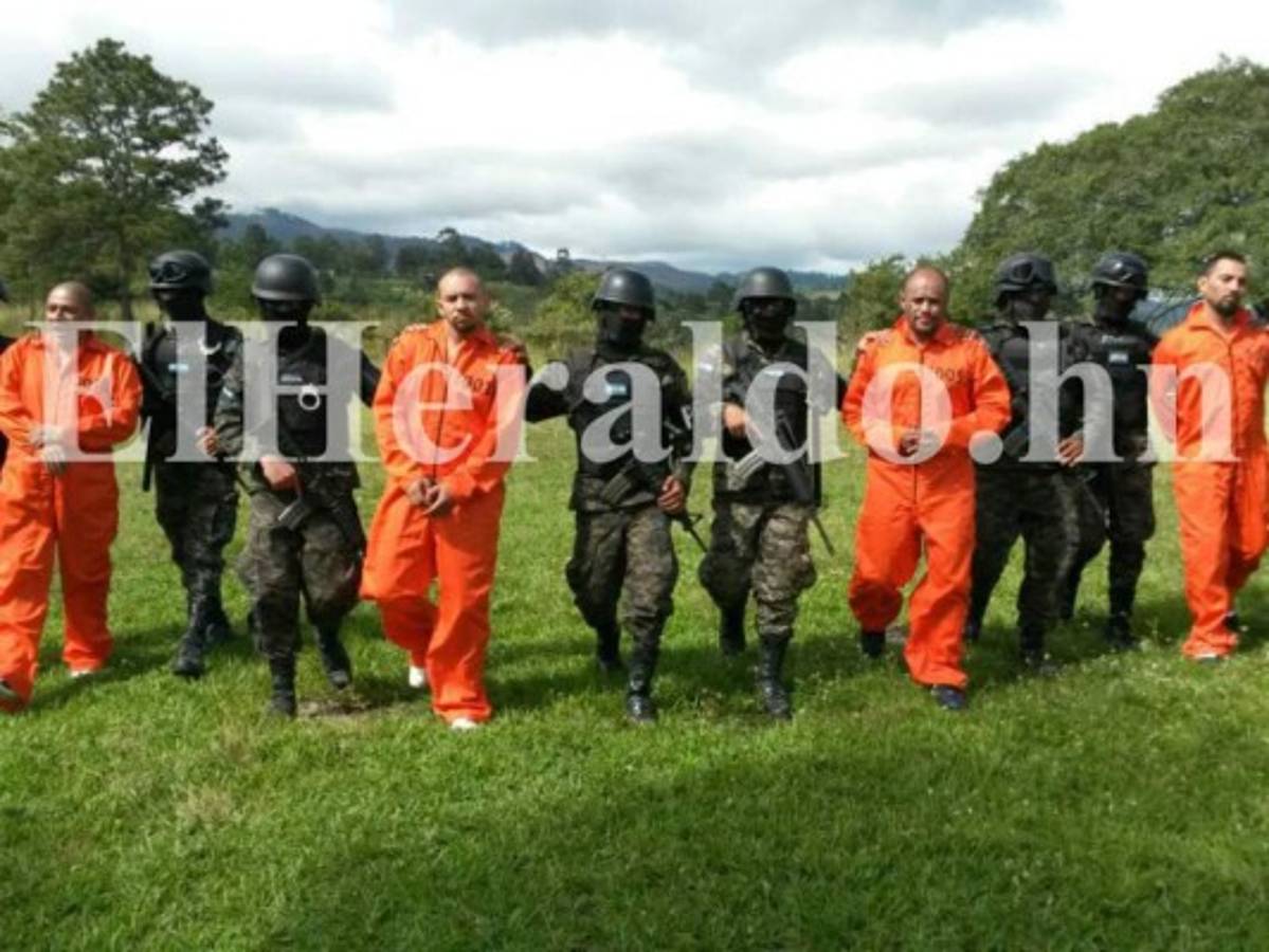 Autoridades ejecutan operativos en cárceles de máxima seguridad El Pozo I y II