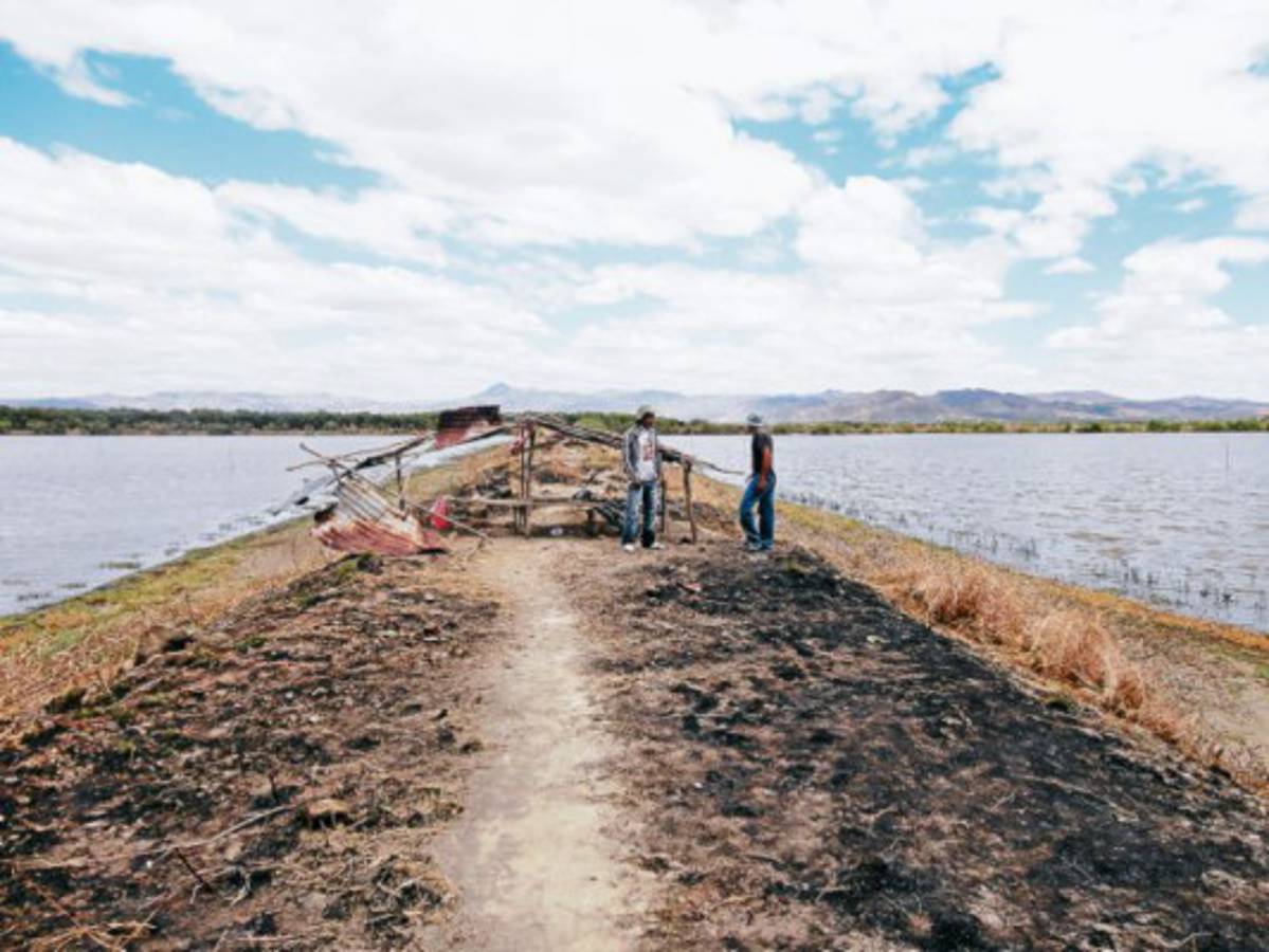 Millonarias pérdidas reporta gobierno de Honduras por toma de camaroneras