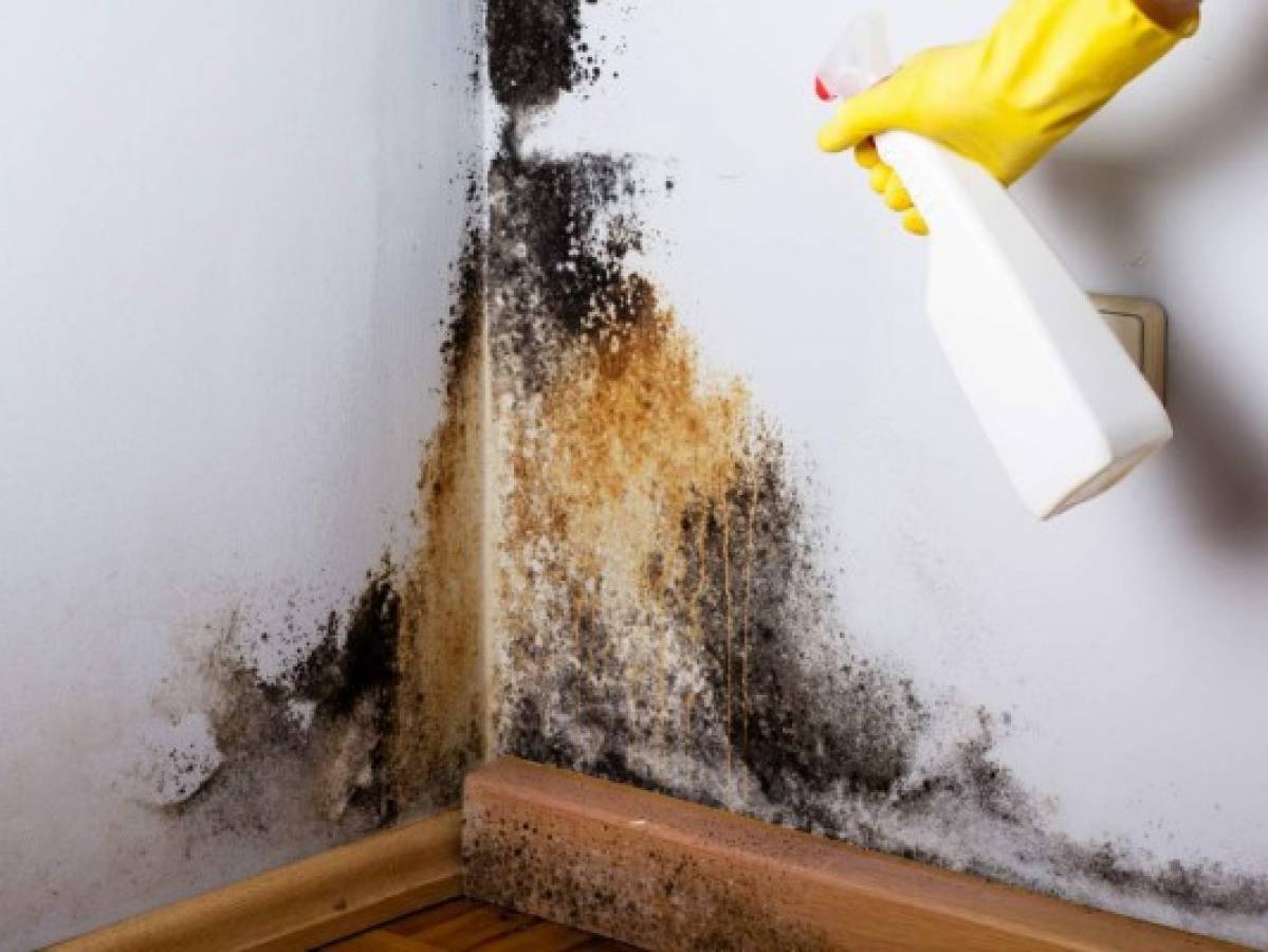 Trucos caseros para quitar las manchas de moho en la pared