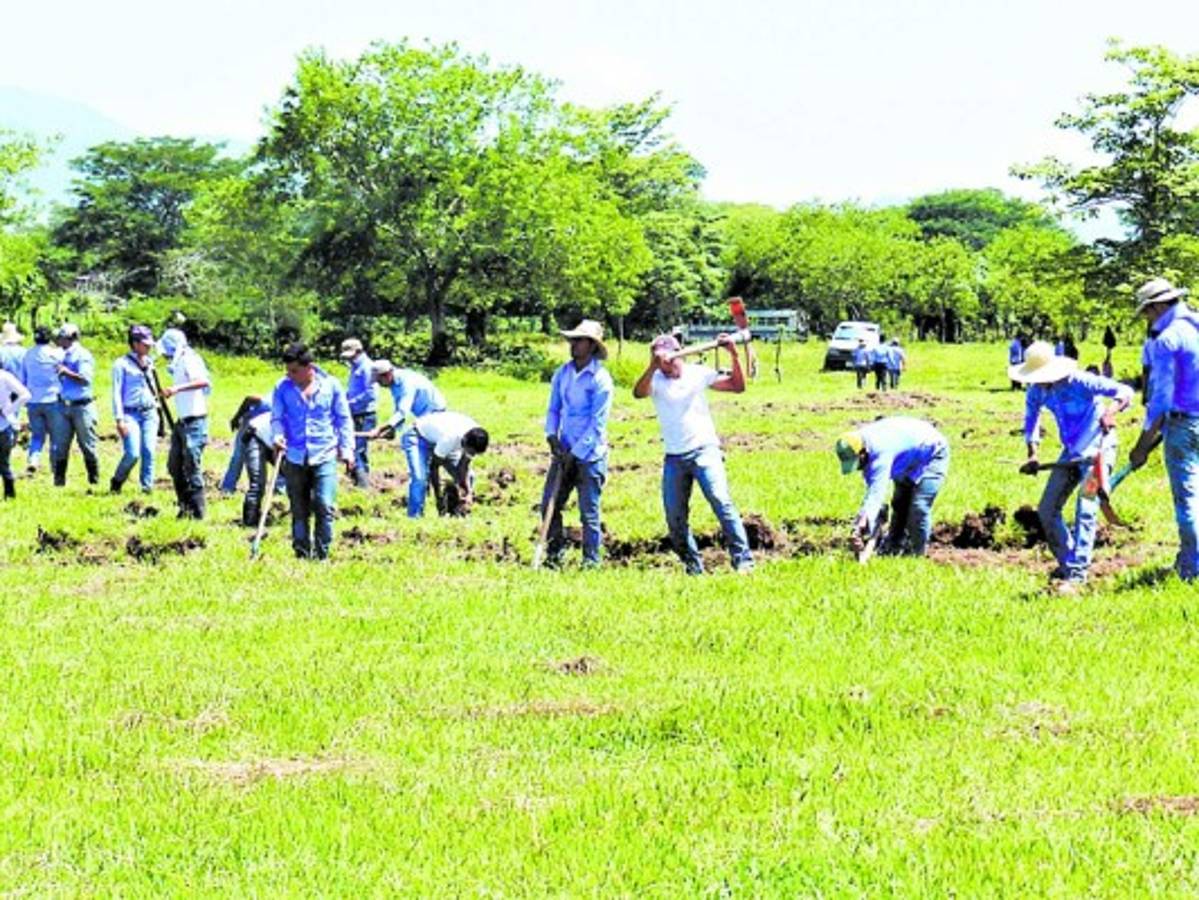 Unos 39.6 millones de lempiras se han invertido en estadio
