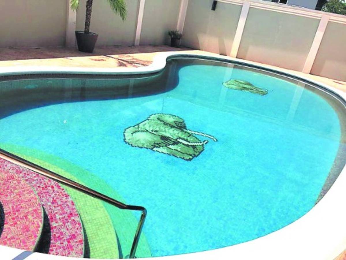 Como en las casas incautadas anteriormente, la piscina es adornada por pinturas acuáticas.