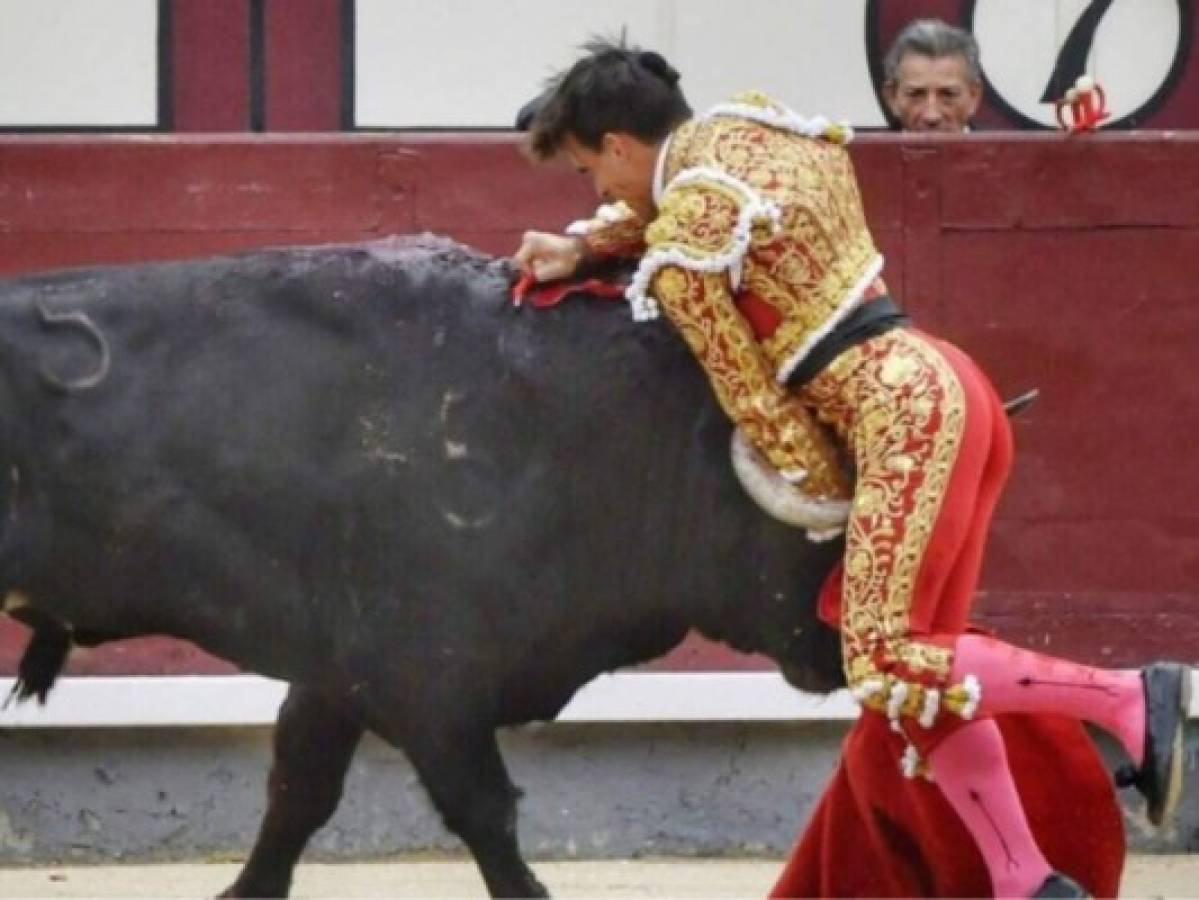 Un torero español sufre una grave cornada en Madrid