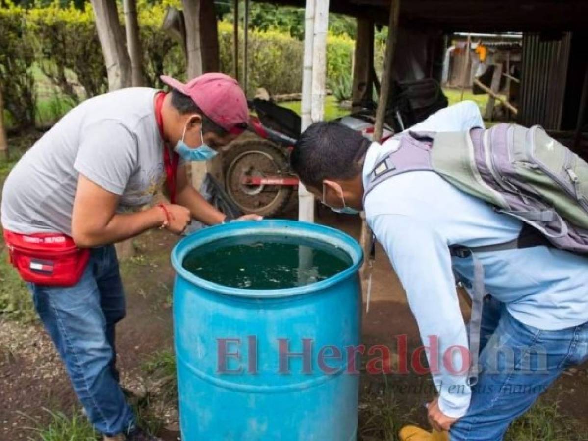 Más de 1,500 casos de dengue reportan en lo que va del 2021