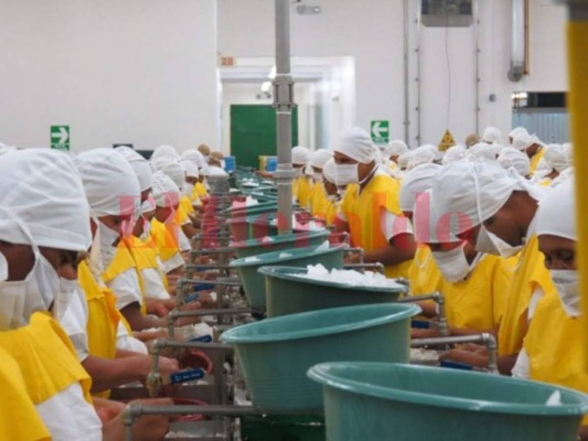 Camarón cerrará este año con caída de 10.5 millones de dólares