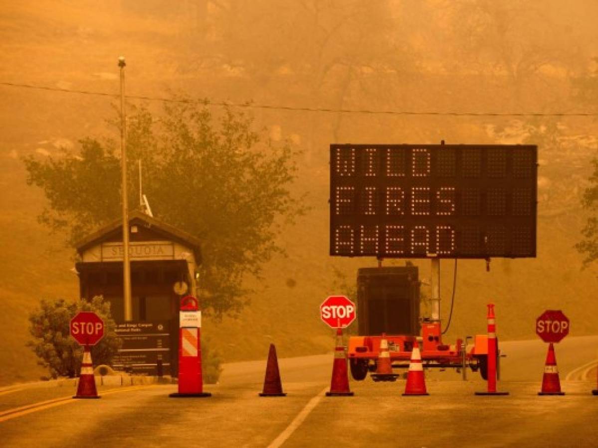 El fuego amenaza Parque Nacional de Secuoyas en California