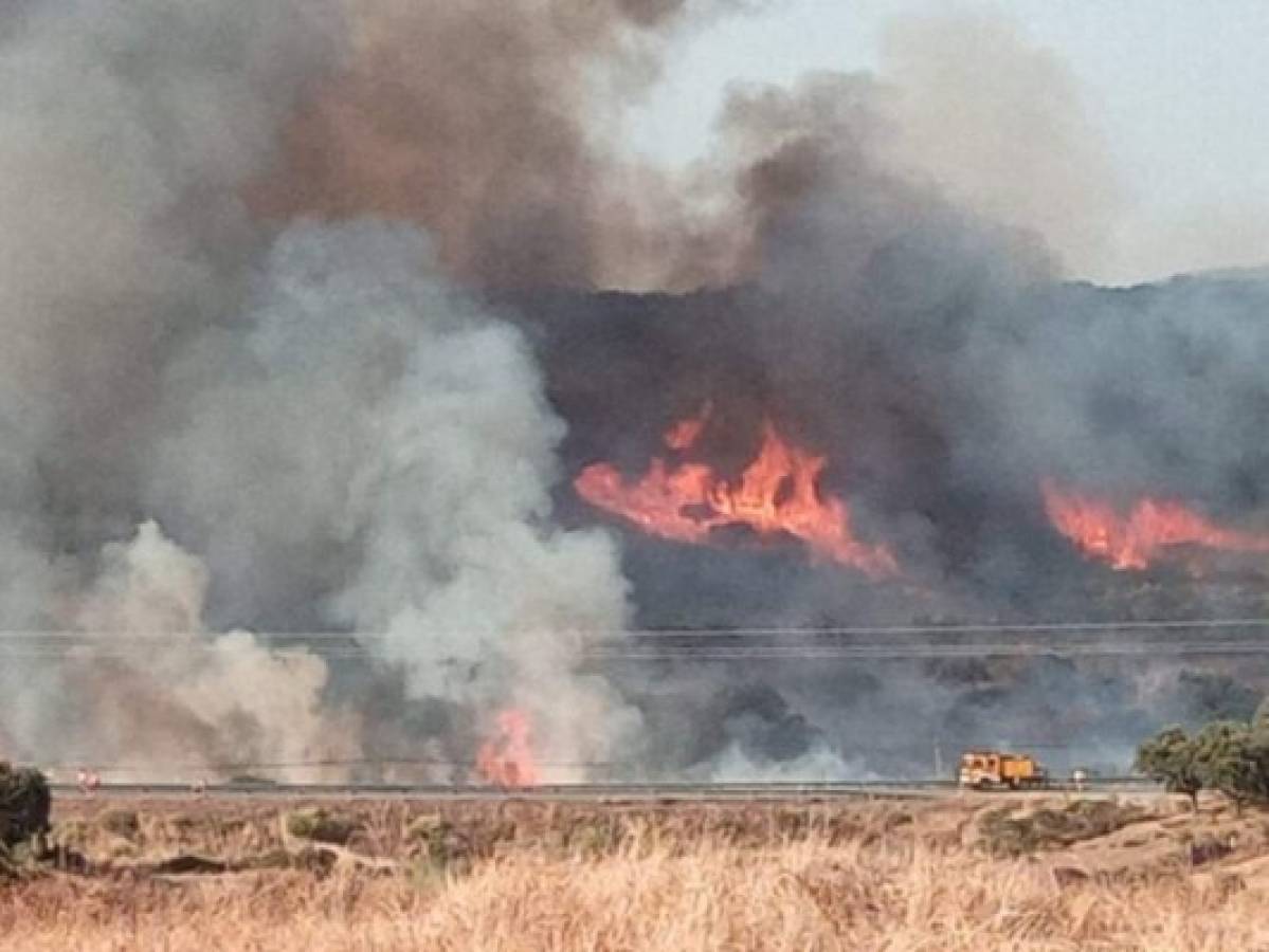 Venezuela: mueren once personas en incendio en un cañaveral  