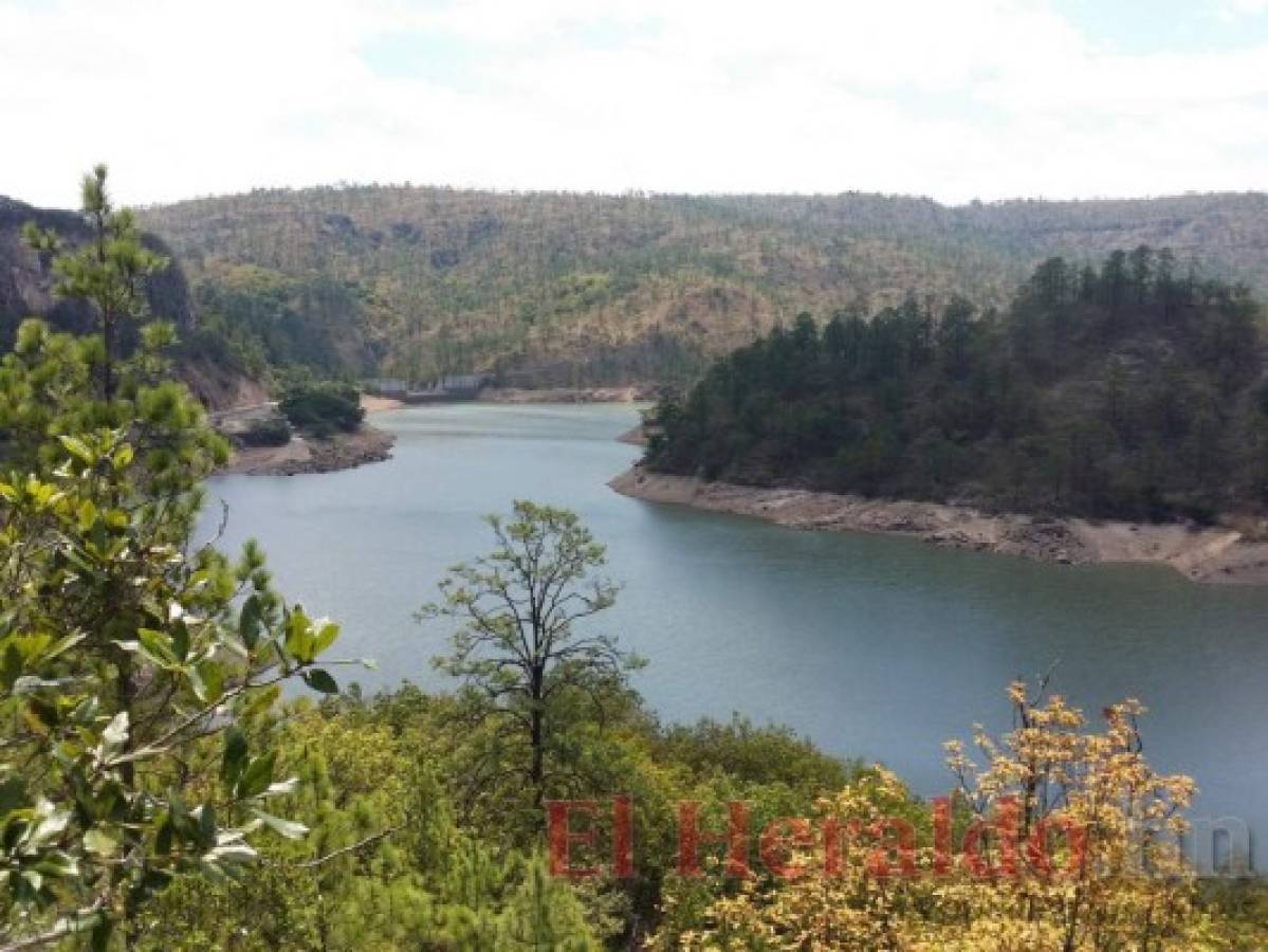 Represa El Coyolar recupera su nivel de agua para el riego