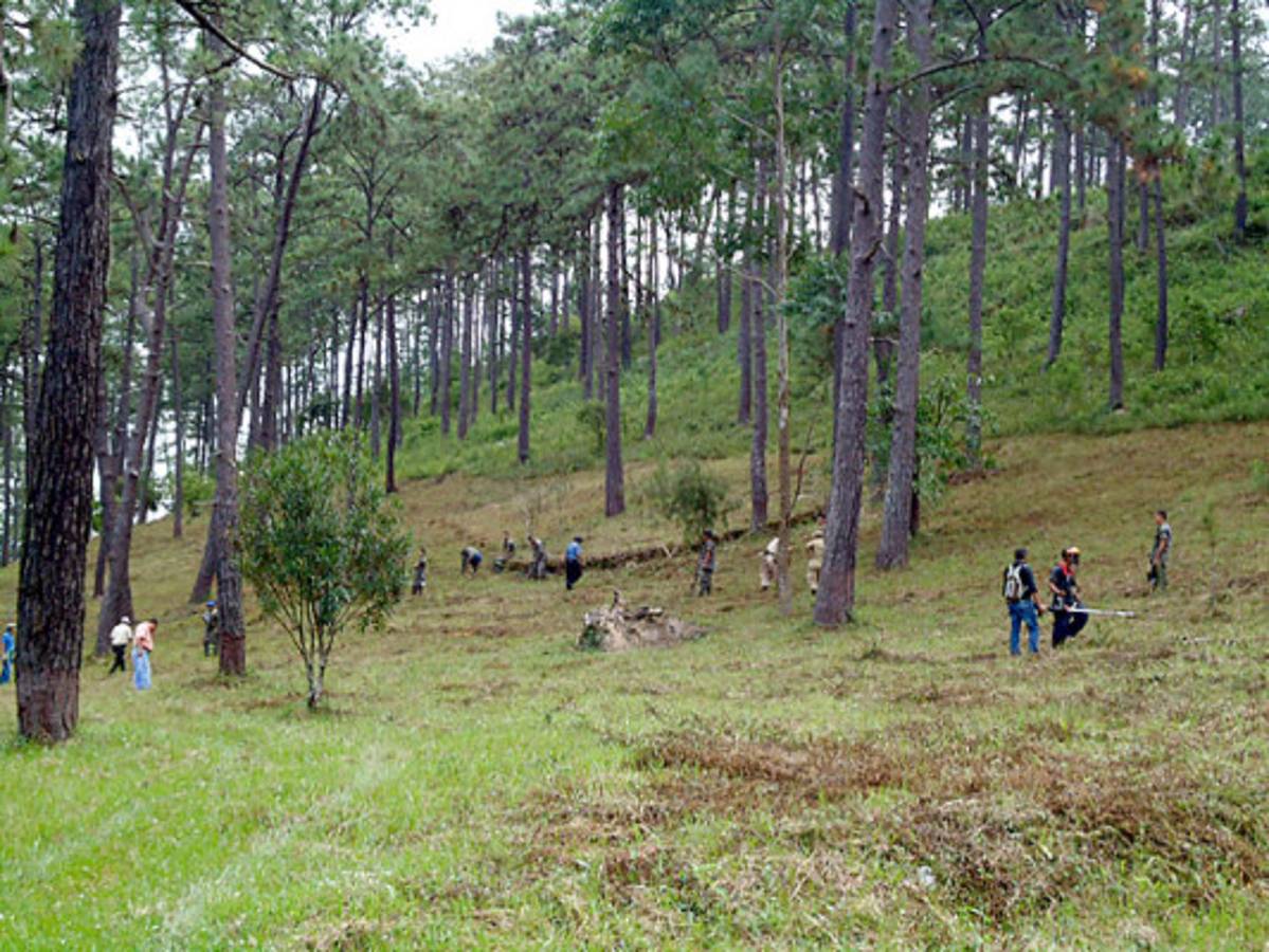 Honduras incorpora dos nuevos bosque modelos en Colón y Olancho