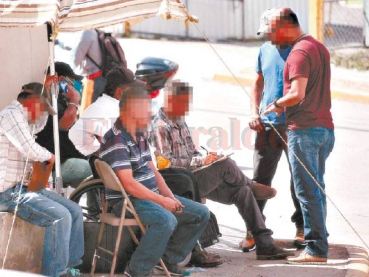 Tramitadores hacen festín en el Instituto de la Propiedad con nuevas placas