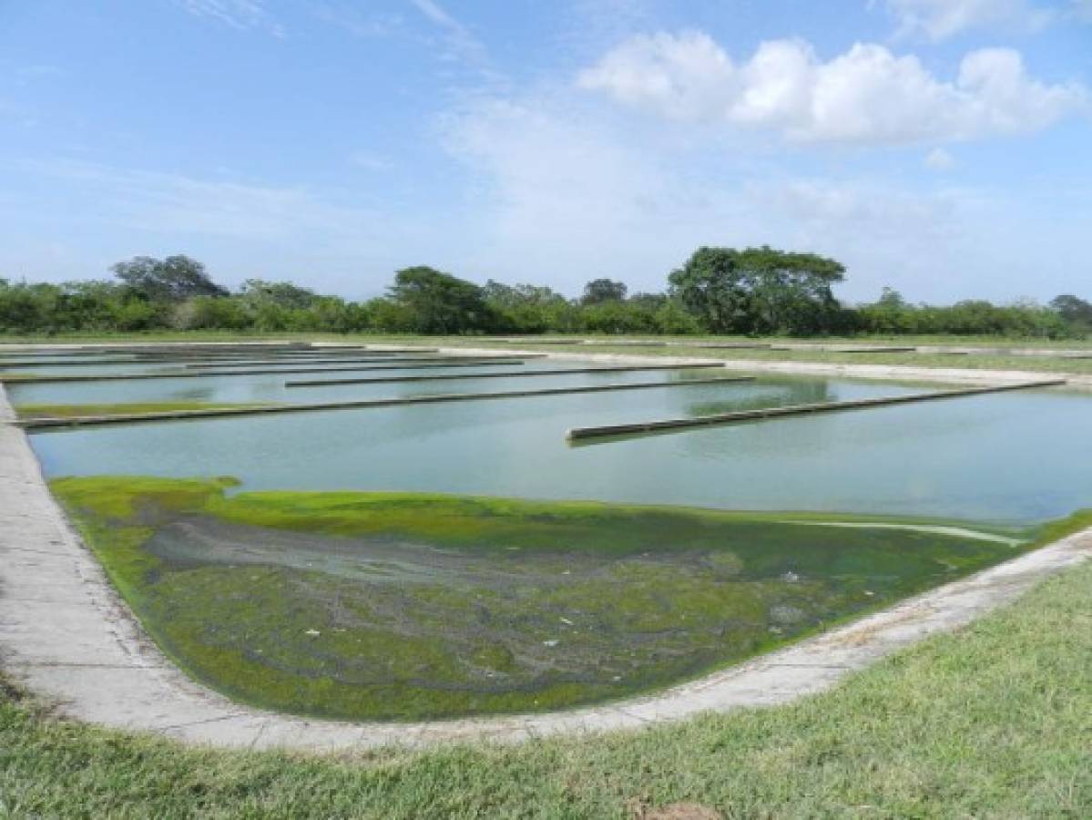 Millonario proyecto en riesgo de inundación en Olancho