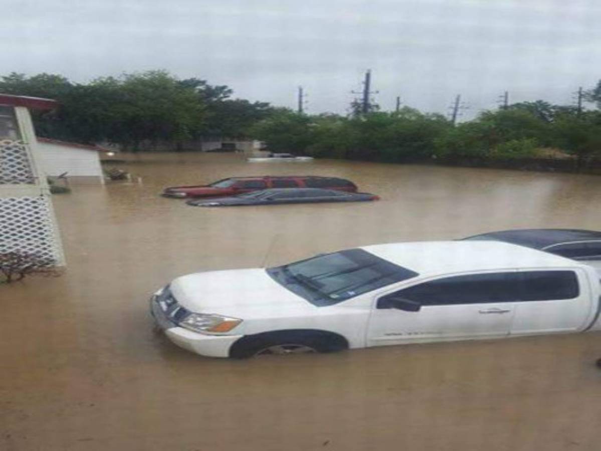 Hondureños en Texas no pueden salir de sus casas por Harvey
