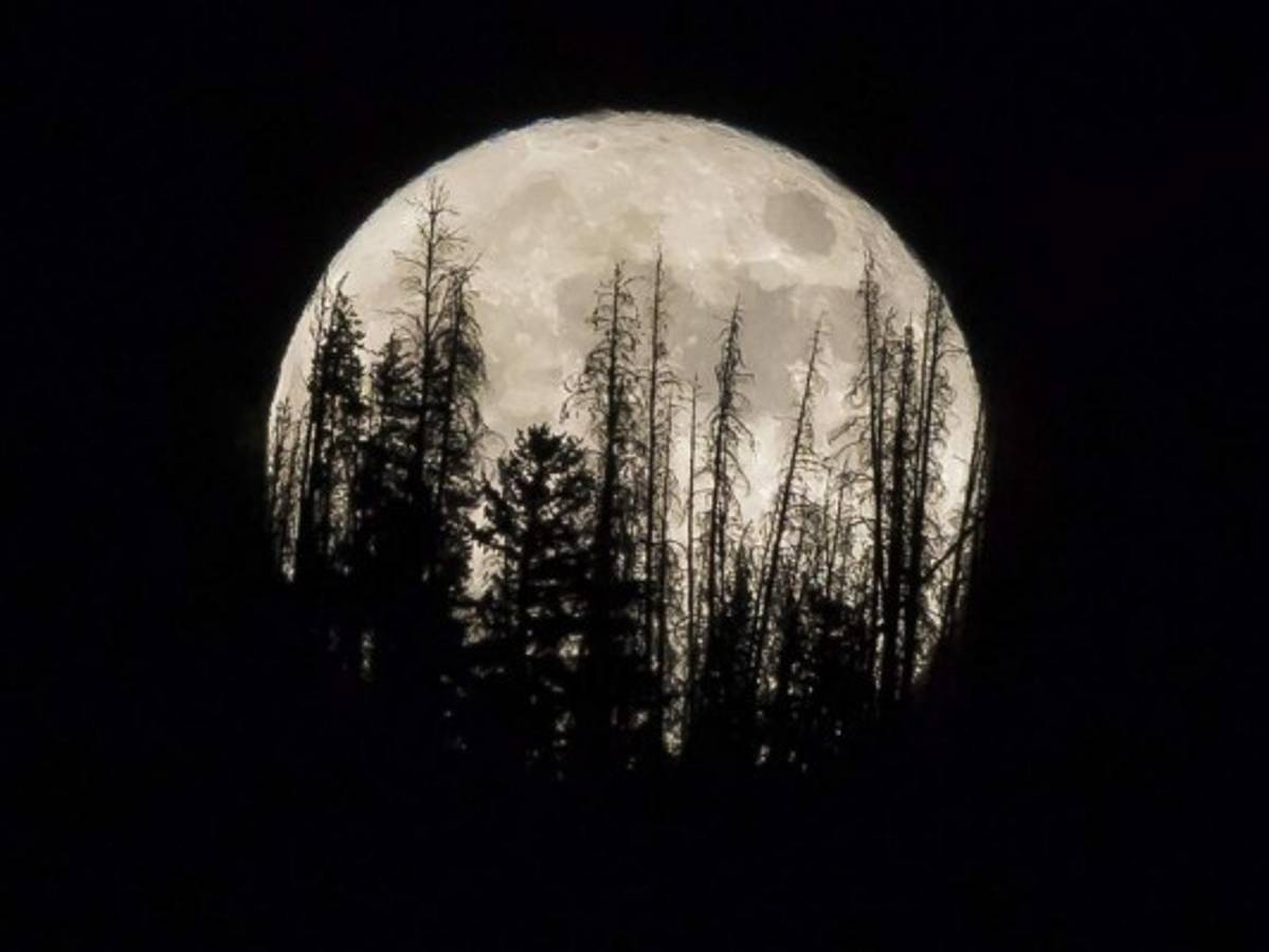 La Superluna rosa de abril que iluminará el cielo